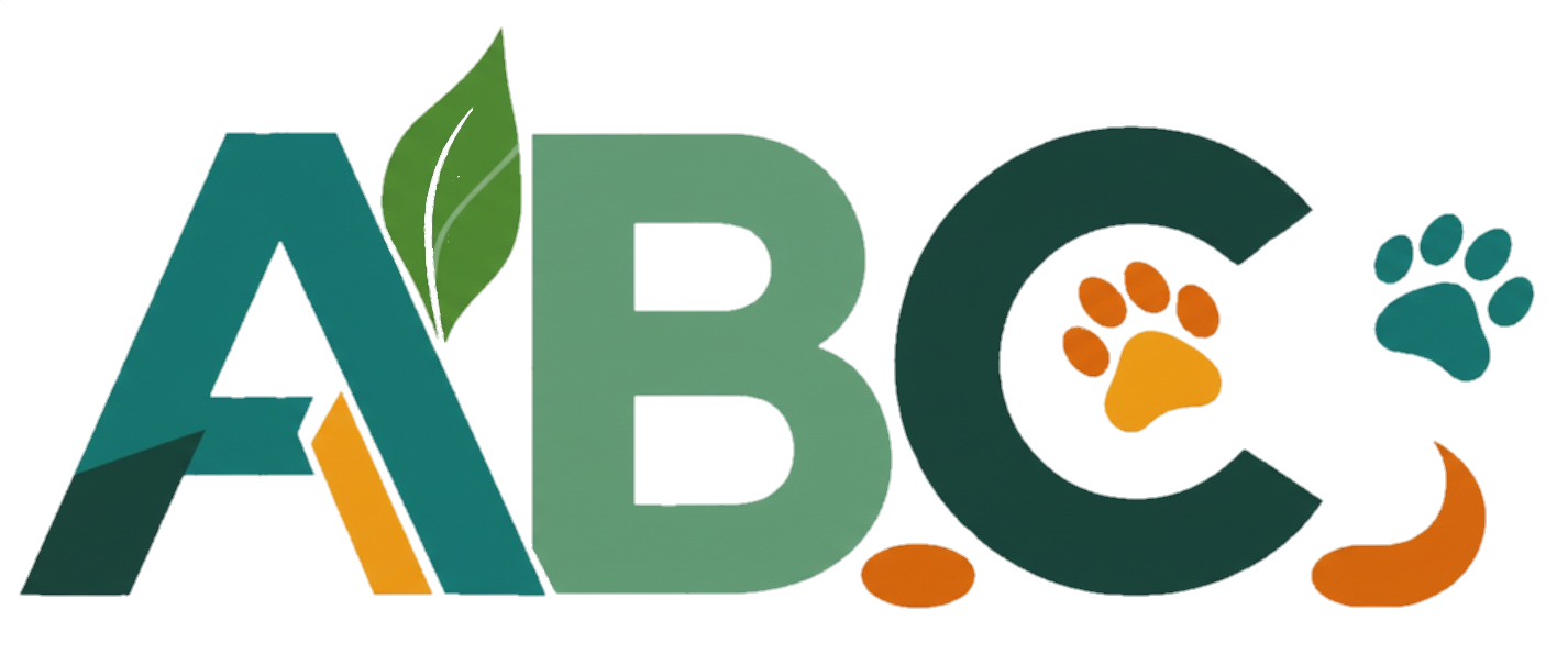 Brasil Central Logo